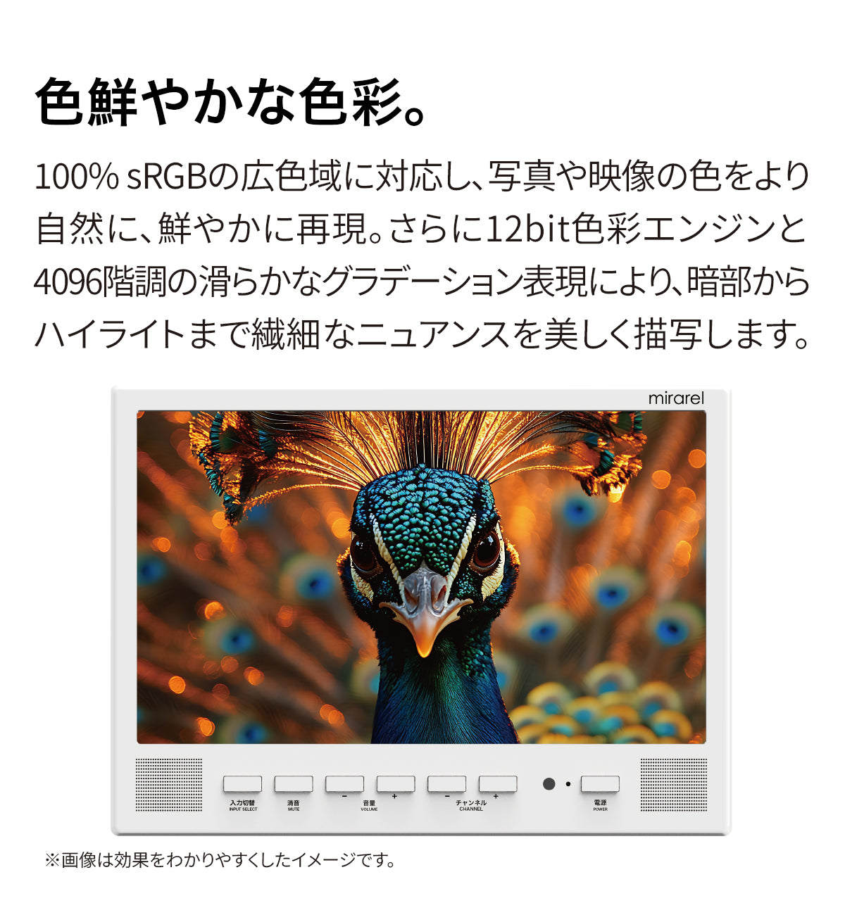 浴室テレビ mirarel 16インチ GoogleTV搭載 16MBTW+ 楽天市場】＼ショップオブザイヤー受賞／ mirarel 16MBTW+正規代理店